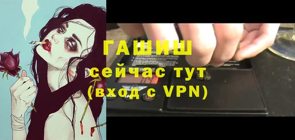 сатива Абаза