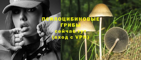 спиды Абдулино