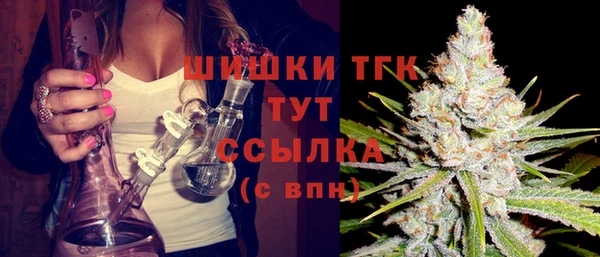 сатива Абаза