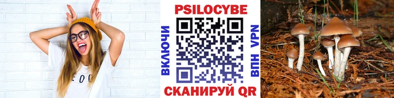 мориарти телеграм Юхнов Псилоцибиновые грибы Magic Shrooms